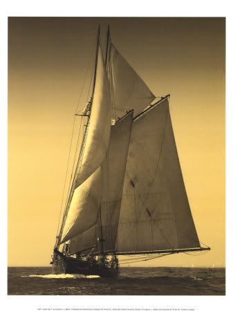 sail boat Pictures, Images and Photos
