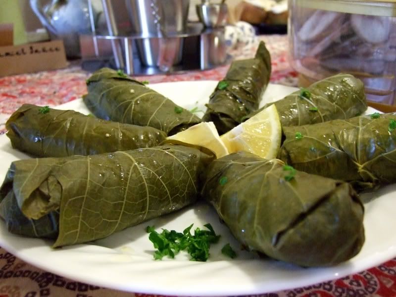 Stuffed Grape Leaves Pictures, Images and Photos