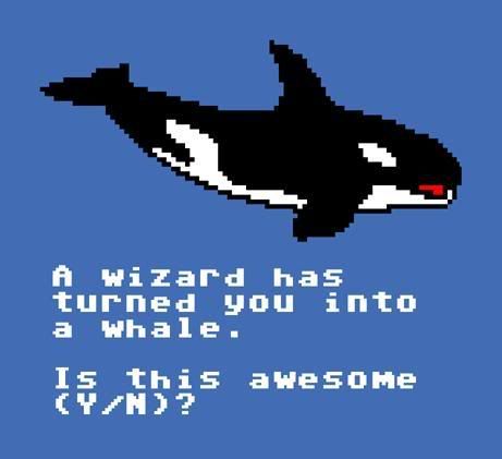 shirt_whale.jpg