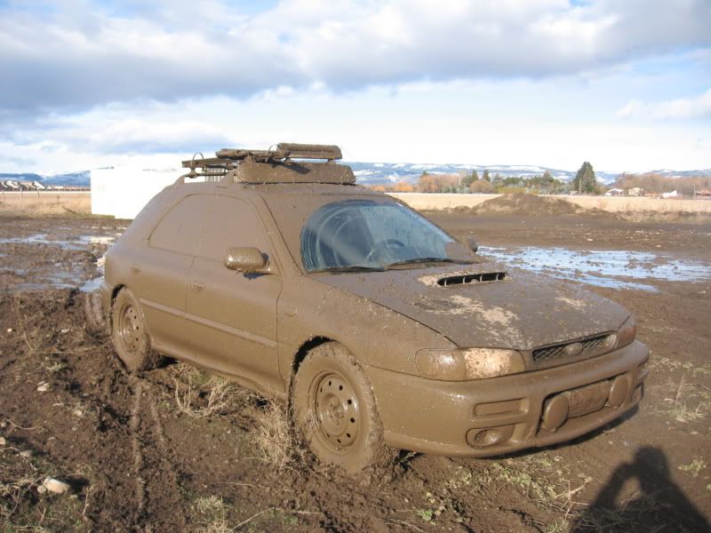 Muddy11.jpg