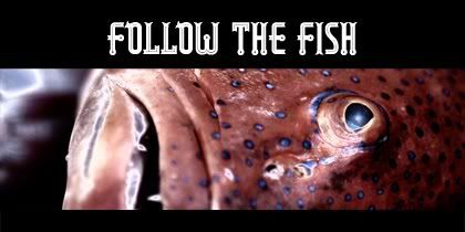 FOLLOW THE FISH