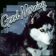 good-morning-dog-dg-1.gif