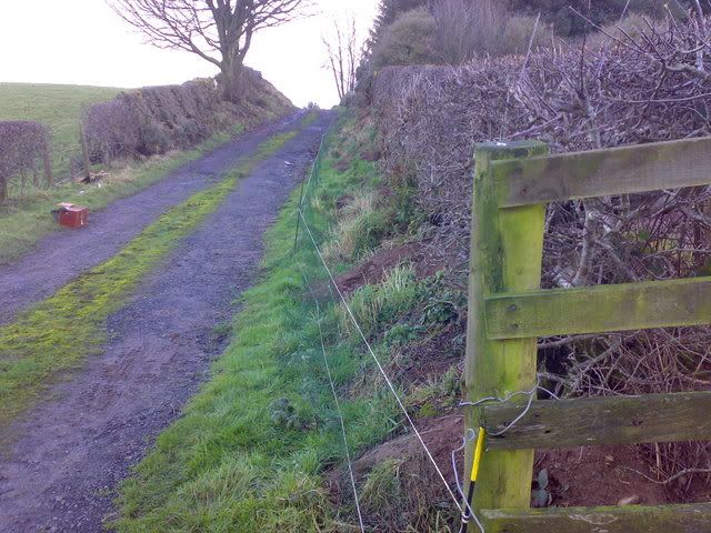 01122007155.jpg
