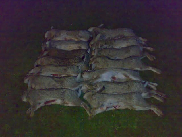 05012008182.jpg