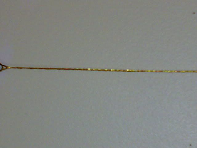 06052008245.jpg