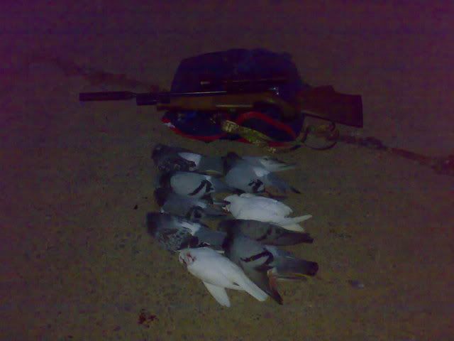 11072008288.jpg