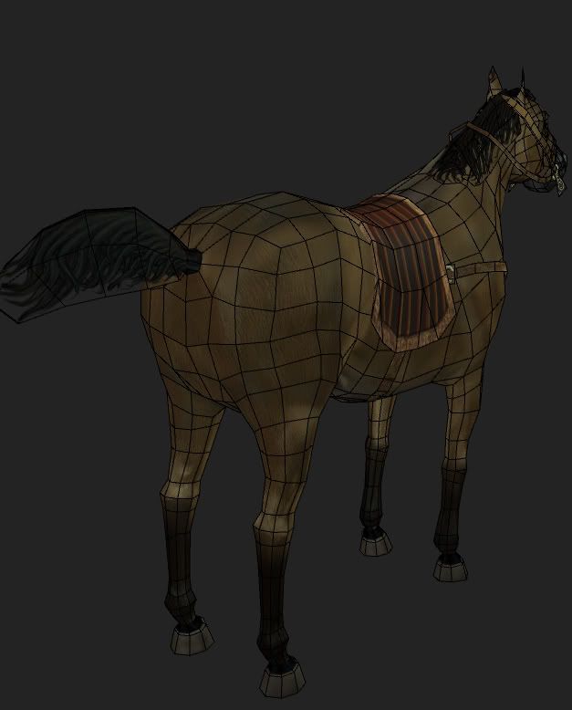 horse5.jpg