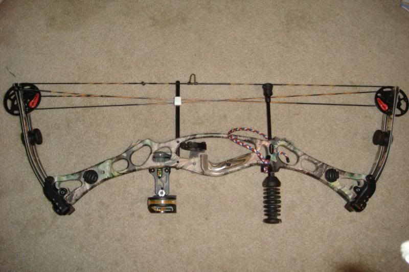 Almost New Hoyt Vectrix XL bow Duck Hunting Forum