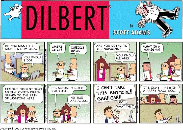 Dilbert-numbing.jpg