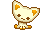 kitty