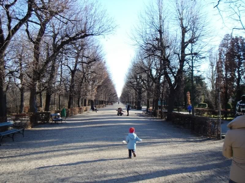 25800x600.jpg