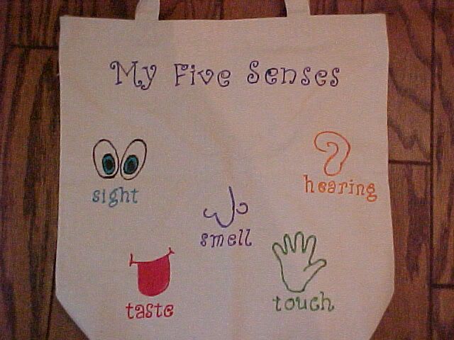 Five Senses Bag
