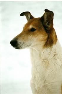 Kuva