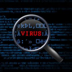 computer virus Pictures, Images and Photos