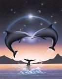 lovewithdelfins.jpg love with delfini image by cromala4eva