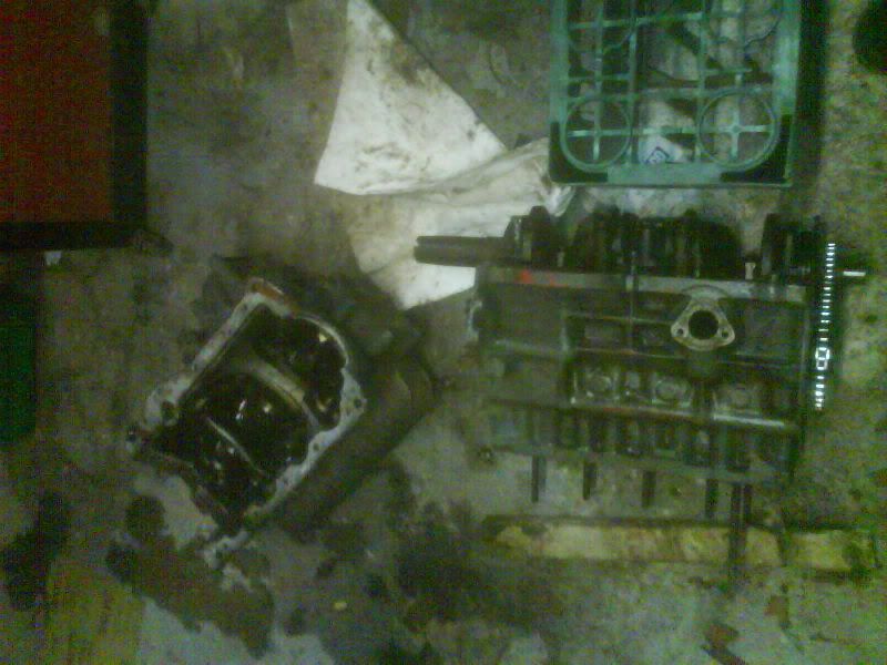 Posted Image