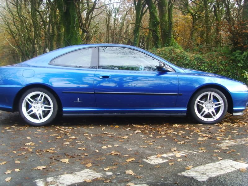 Viewing 406 coupe koni sport