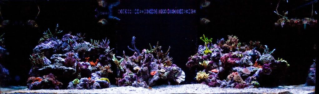FTSnov10001 4 - Brian's 270 Starphire
