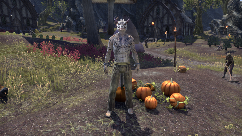 Hero Costumes for every race!! D — Elder Scrolls Online