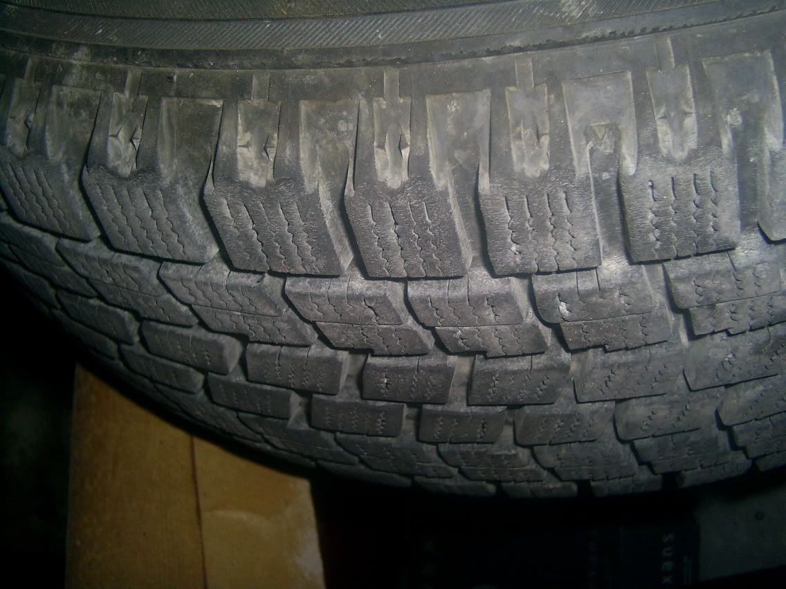 S4021093.jpg