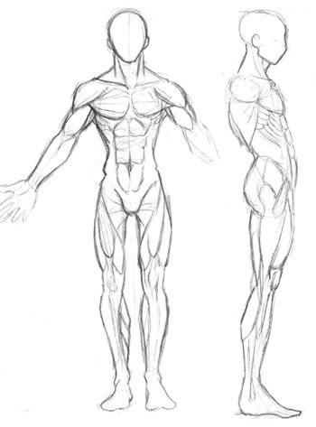 007_muscles.jpg