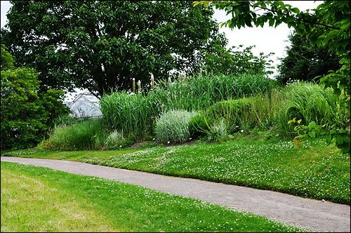 Gräsrabatt i Botaniska