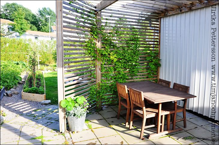 Uteplats i skuggan