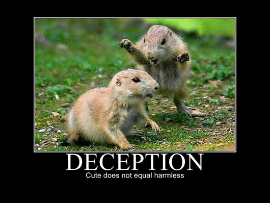deception.gif