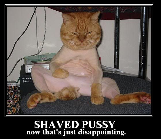 shaved_pussy.jpg