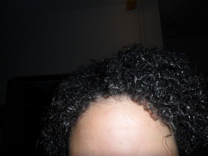 SAM_1100.jpg