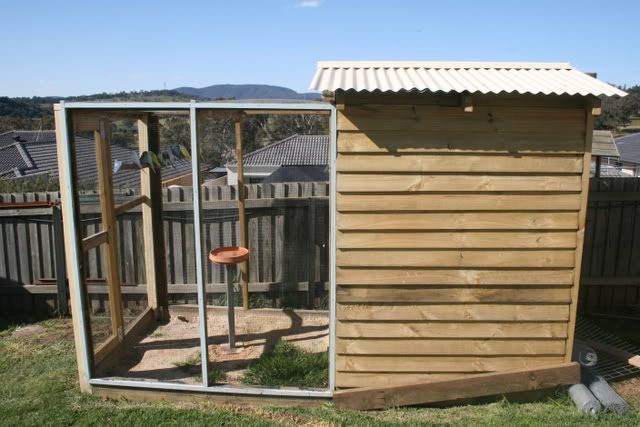aviary001.jpg