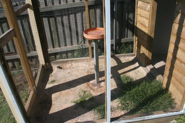 aviary007.jpg