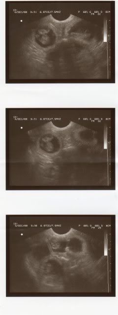 img020.jpg