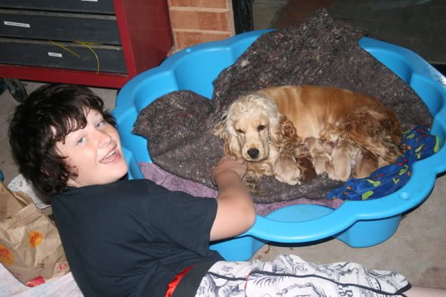 pups005.jpg