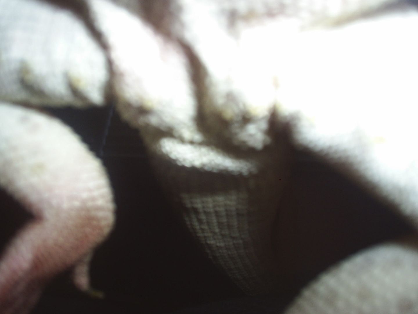 hitting the Glass Behavior