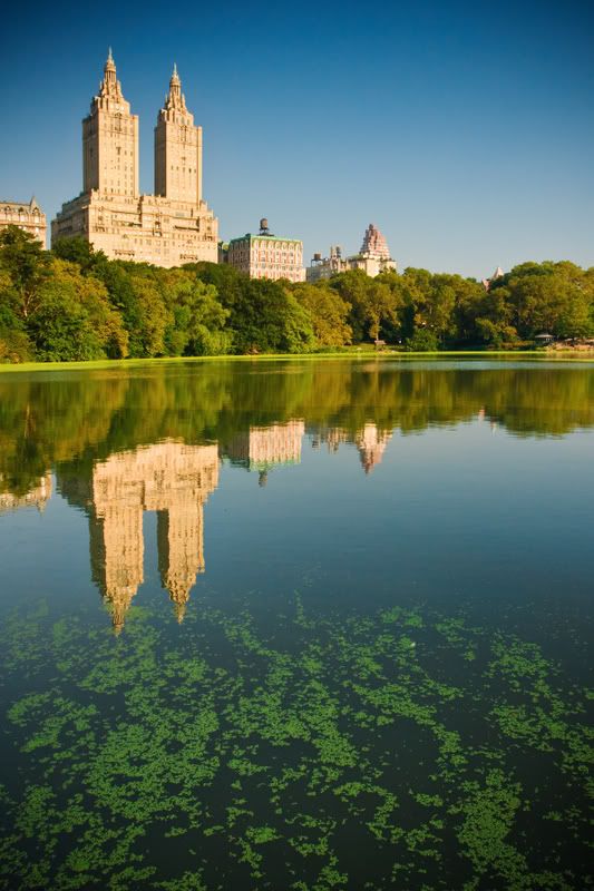 IMAGE: http://i57.photobucket.com/albums/g213/wallybud/CentralPark_AlgeTowers.jpg