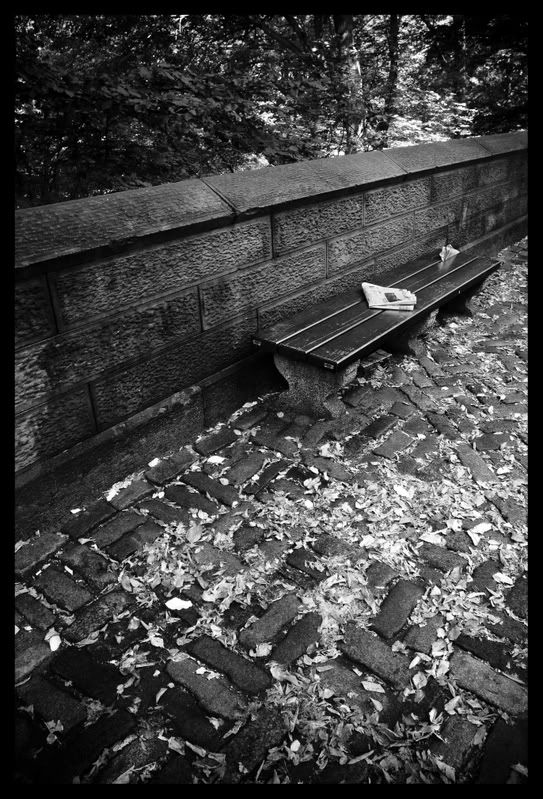 IMAGE: http://i57.photobucket.com/albums/g213/wallybud/NY-CentralParkBench.jpg