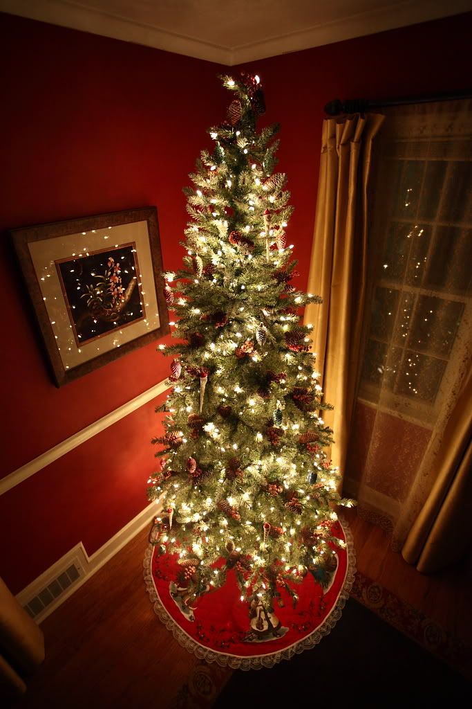 IMAGE: http://i57.photobucket.com/albums/g213/wallybud/XmasTree.jpg