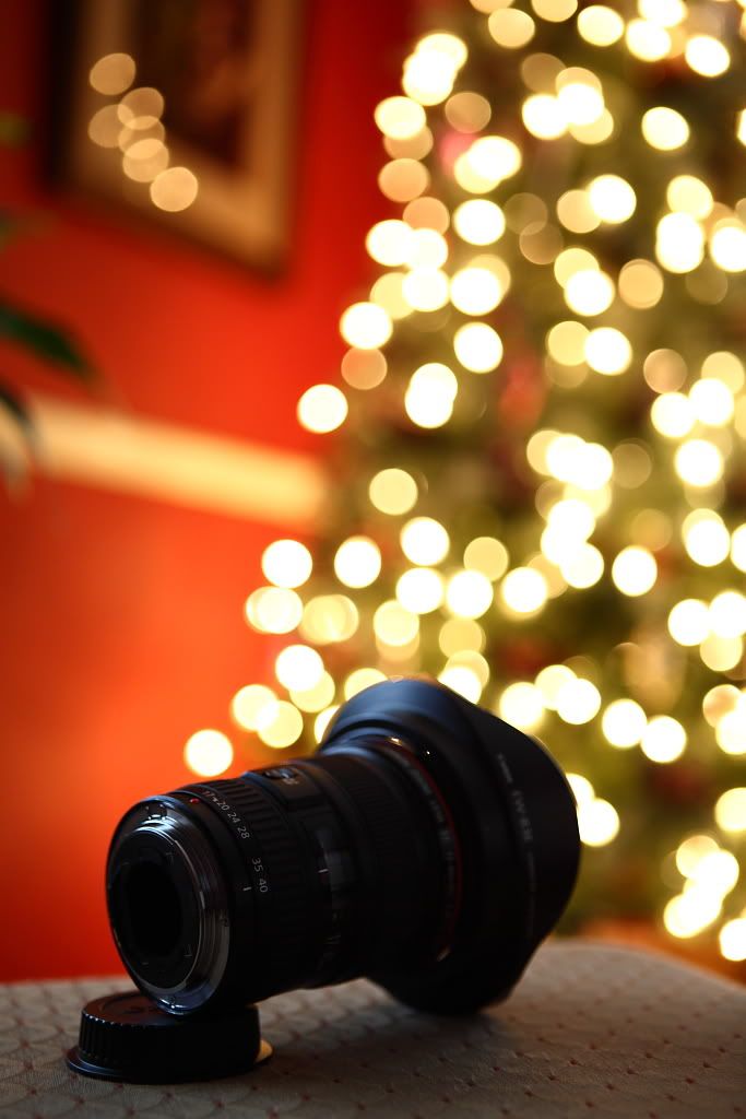 IMAGE: http://i57.photobucket.com/albums/g213/wallybud/_MG_6186.jpg