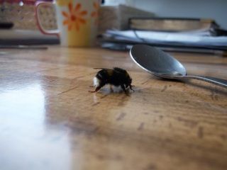 100_0355.jpg