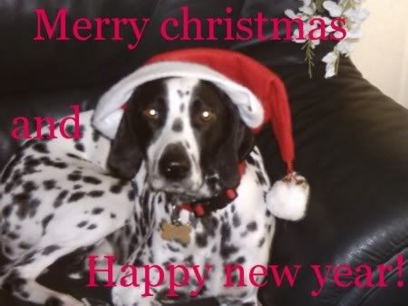 [img width=450 height=338]http://i57.photobucket.com/albums/g214/lady-syllie/metkerst.jpg[/img]