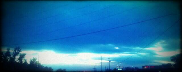 Vignette: Small Black,Snapbucket