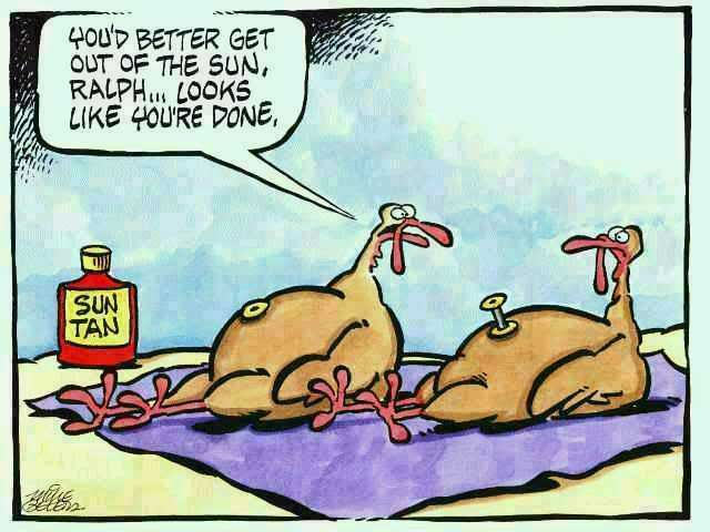 http://www.mudtrap.com/images/funny-thanksgiving-turkey-cartoon2.jpg