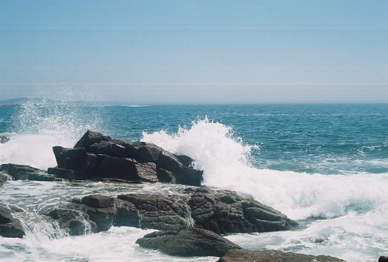 acadia national park Pictures, Images and Photos