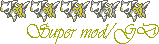 Super Moderator/Graphic Designer Super Moderator/Graphic Designer