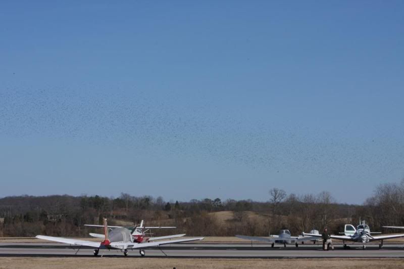 IMAGE: http://i57.photobucket.com/albums/g216/DealsGapCobra/Camera/Airport%202-7-09/IMG_4398.jpg