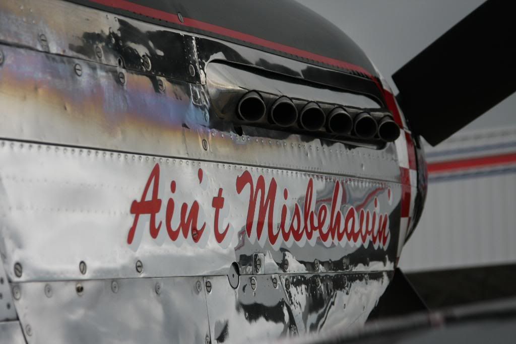 IMAGE: http://i57.photobucket.com/albums/g216/DealsGapCobra/Slideshows/P-51/IMG_5348.jpg