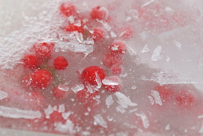 Immagine ridimensionata: clicca sull'immagine per vederla con le dimensioni originali.