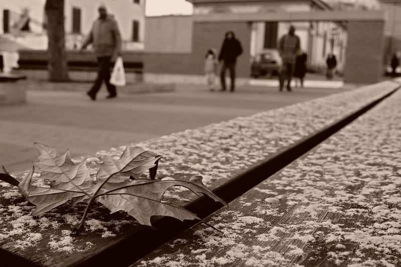 Immagine ridimensionata: clicca sull'immagine per vederla con le dimensioni originali.