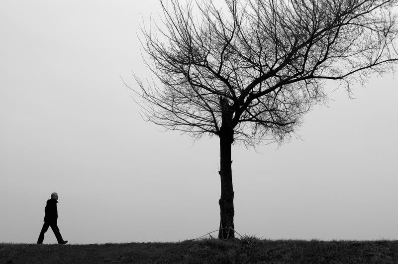 Immagine ridimensionata: clicca sull'immagine per vederla con le dimensioni originali.